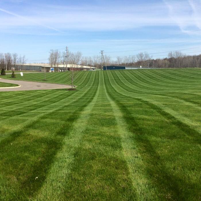 Side Lawn