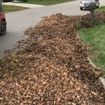 Leaf cleanup