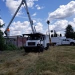 Complete tree removal at Dentist office