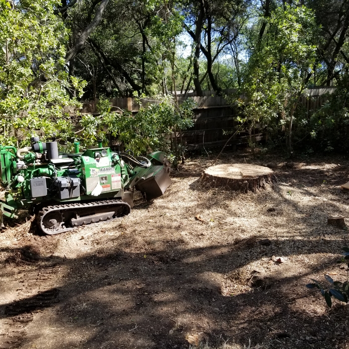 Our Commercial Track Stump Grinder