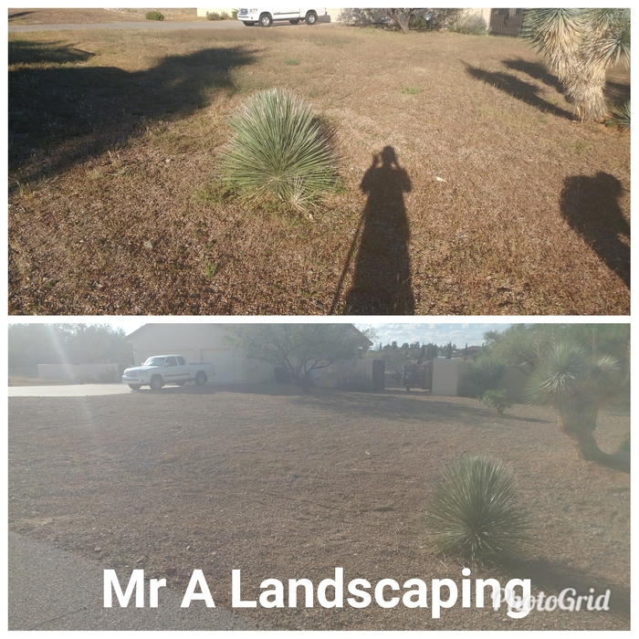 Spotless weed removal