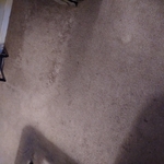 Before carpet cleaning
