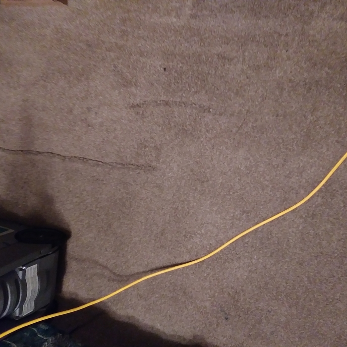 Before carpet cleaning