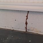 Termite shelter tube