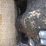 Foundation Repair