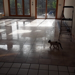 Marble Floor Tile Restoration Polishing - Before