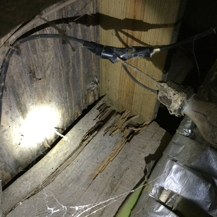 Floor joist