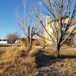 Tree Removal Trimming