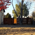 Tree Removal Trimming