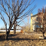 Tree Removal Trimming
