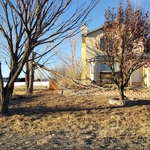 Tree Removal Trimming