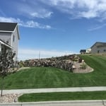 Mowing/Spraying
