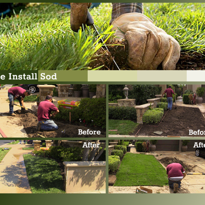 Sod Installation