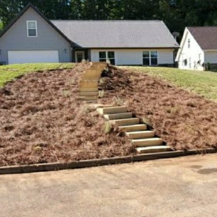 Steps
