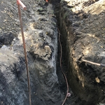 1" main