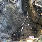 1" main