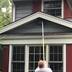 Hornets nest removal