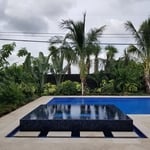 Main Back Yard