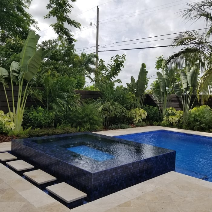 Main Back Yard