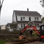 Trimming trees