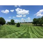 Beautiful straight lines