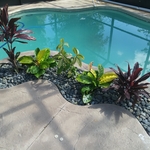 Pool planter bed