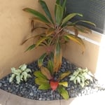 Pool planter bed