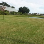 One of our loyal customers yard