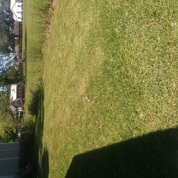 One of our customers yards