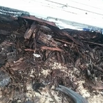 Our Work