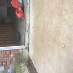 Driveway before