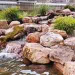 Side shot of the stream