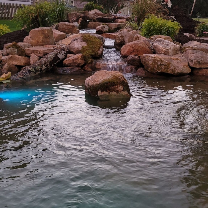 Front shot of stream
