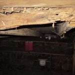 Termite damage