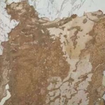 Formica Damage
