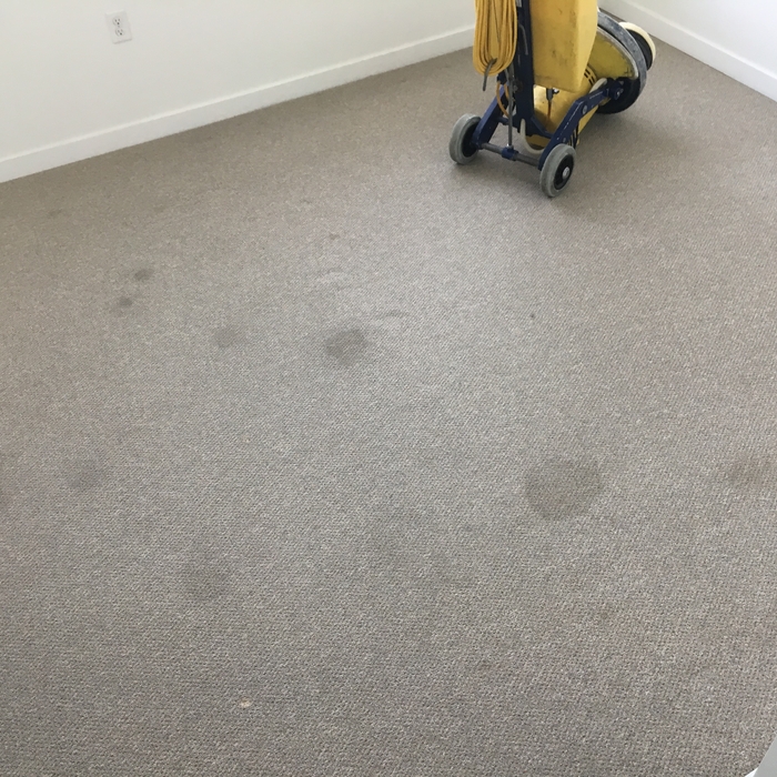 Carpet cleaning & spot removal