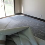 Wet Carpet and Pad
