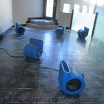 Drying Fans Placed