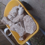 Trash removal and cleanup