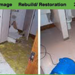 The Green Bee Restoration