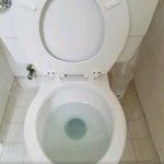 Cleaned toilet