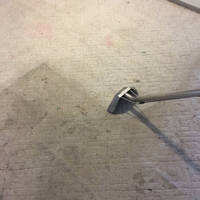 Carpet