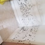 Mold on the wall