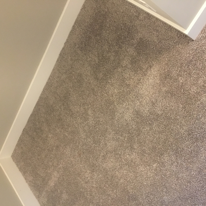Carpet