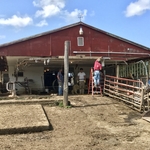Boss barn build