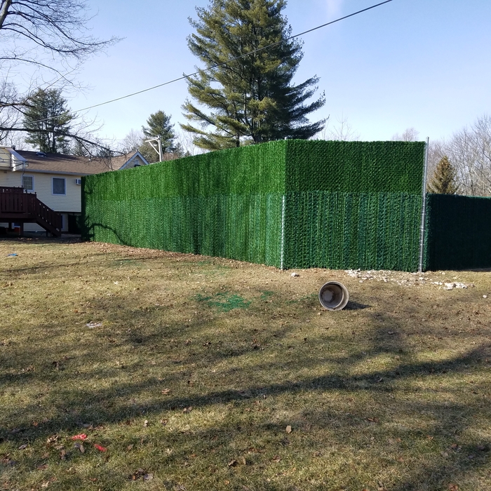 Privacy Chain Link Fence