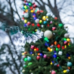 Holiday Lighting
