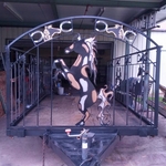 Customized show trailer 1