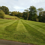 Our Work