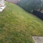 Our Work